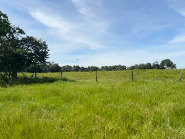 Fazenda para Venda em Niquelândia - 5