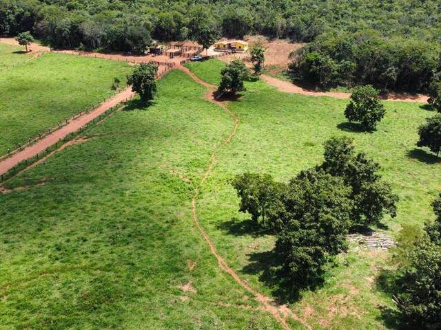 #188 - Fazenda para Venda em Santa Cruz de Goiás - GO - 3