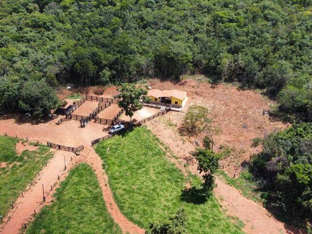 Fazenda para Venda em Santa Cruz de Goiás - 4