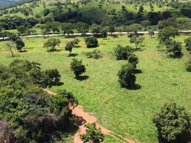 Fazenda para Venda em Santa Cruz de Goiás - 5