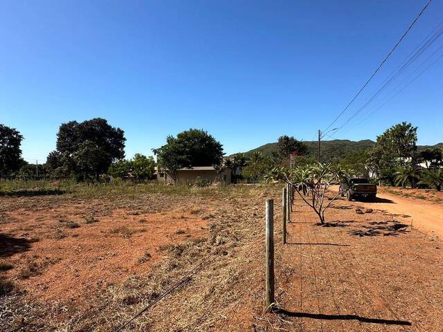 #189 - Fazenda para Venda em Trindade - GO - 3