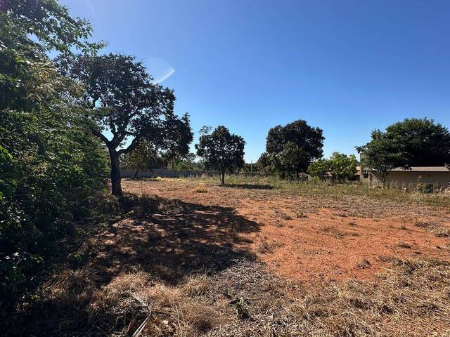 Venda em Zona Rural - Trindade