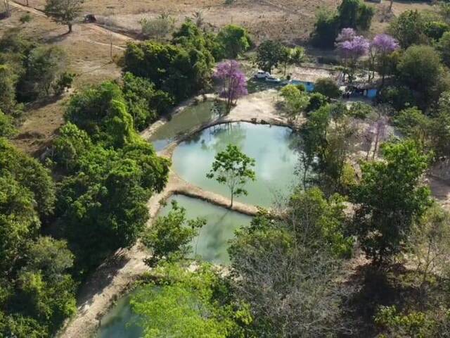 #196 - Fazenda para Venda em Itapuranga - GO - 2