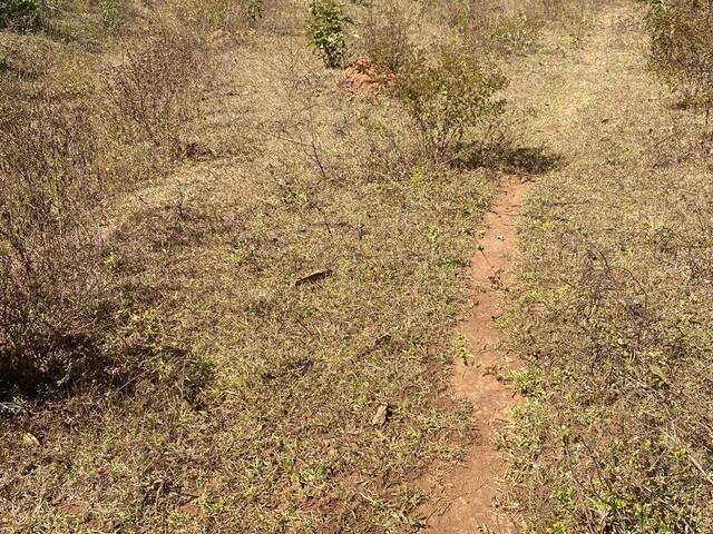 Chácara para Venda em Luziânia - 4