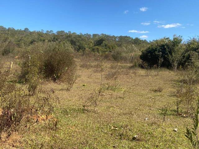 Venda em Zona Rural - Luziânia
