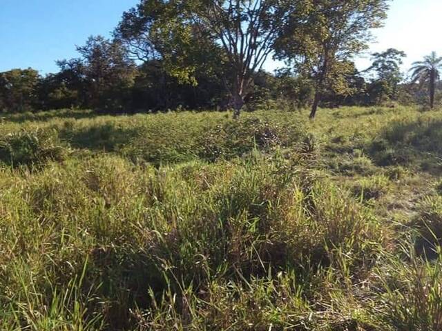 Fazenda para Venda em Faina - 5