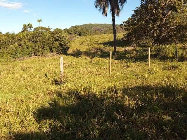 Fazenda para Venda em Faina - 4