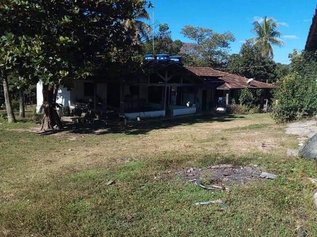 #243 - Fazenda para Venda em Faina - GO - 3