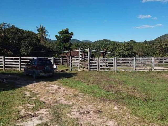 Venda em Zona Rural - Faina