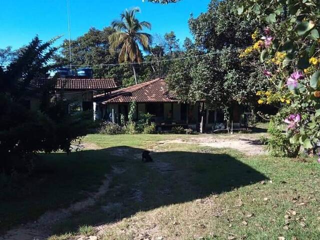 #243 - Fazenda para Venda em Faina - GO - 2