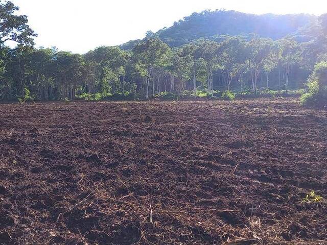 Chácara para Venda em Bom Jardim de Goiás - 5
