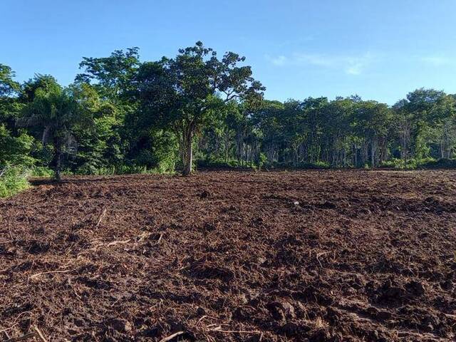 Chácara para Venda em Bom Jardim de Goiás - 4