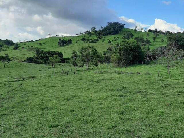 Chácara para Venda em Itaguari - 5