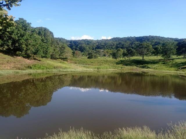 #253 - Fazenda para Venda em Hidrolândia - GO - 3