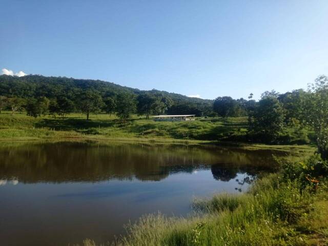 #253 - Fazenda para Venda em Hidrolândia - GO - 2