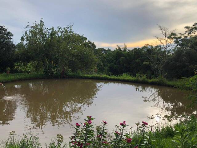 #255 - Chácara para Venda em Goianápolis - GO - 2