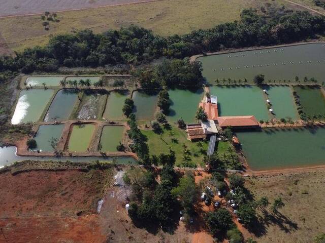 Chácara para Venda em Morrinhos - 4