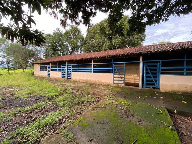 #258 - Chácara para Venda em Palminópolis - GO - 2