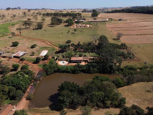 #259 - Fazenda para Venda em Ouro Verde de Goiás - GO - 3