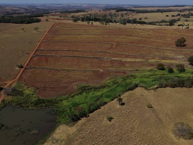 Fazenda para Venda em Ouro Verde de Goiás - 4