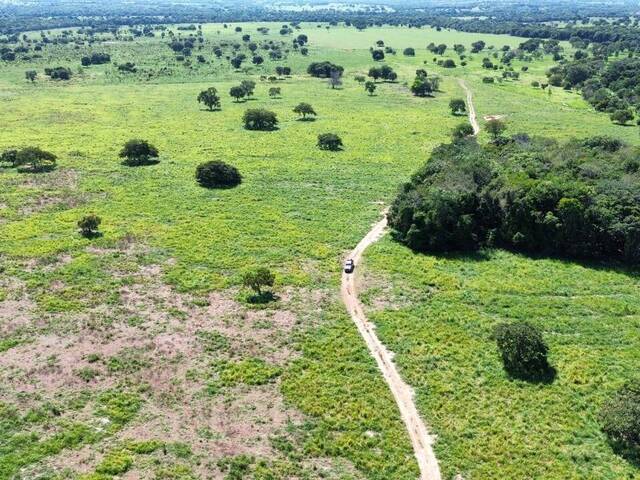 Chácara para Venda em Faina - 5