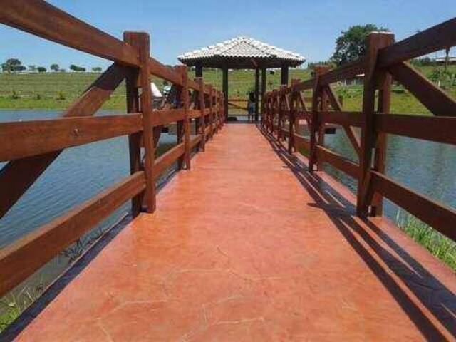 #271 - Chácara para Venda em Turvânia - GO - 3