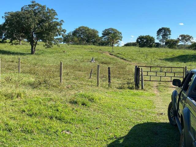 Venda em Zona Rural - Goiás