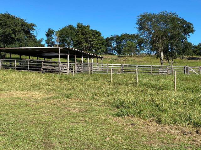 #272 - Chácara para Venda em Goiás - GO - 3