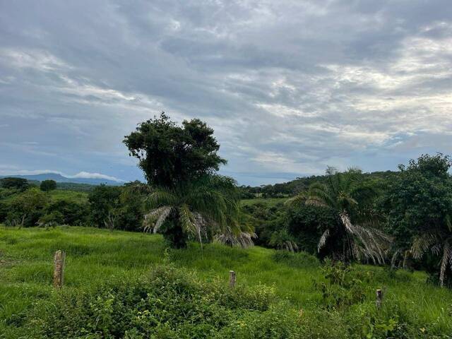 Fazenda para Venda em Goiás - 5