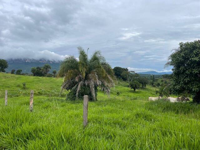 Venda em Zona Rural - Goiás