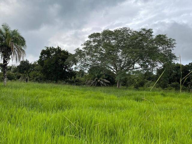 Fazenda para Venda em Goiás - 4