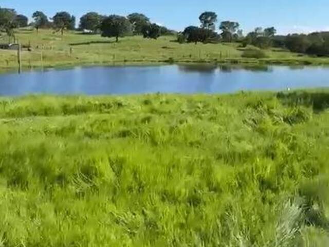 Chácara para Venda em Goiás - 5