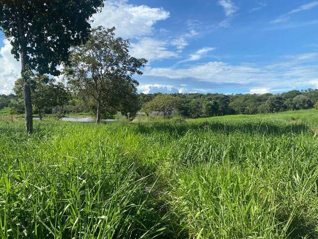 Venda em Zona Rural - Goiás