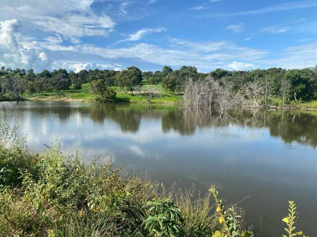 Chácara para Venda em Goiás - 5