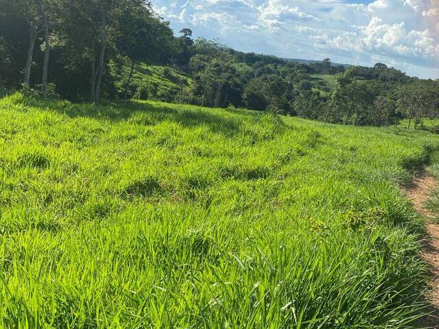 #275 - Chácara para Venda em Goiás - GO - 3
