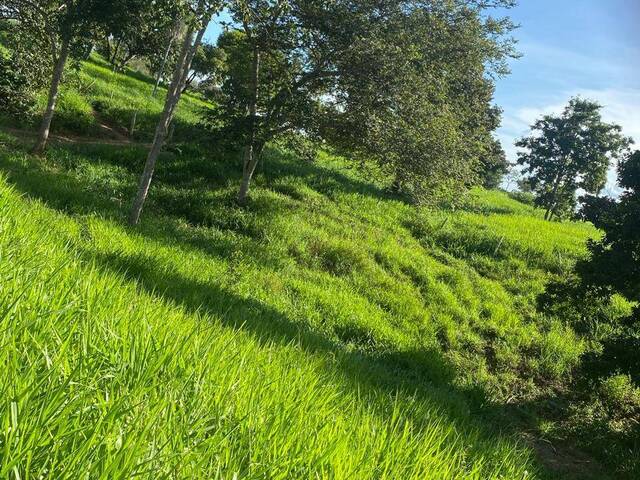 Chácara para Venda em Goiás - 4