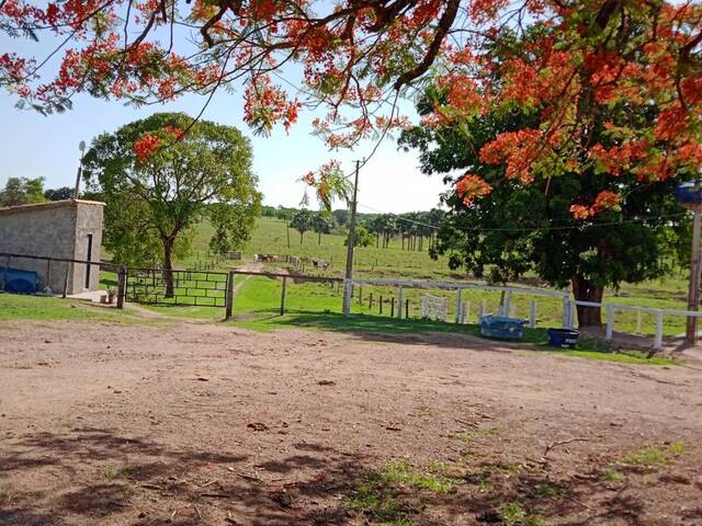 Chácara para Venda em Novo Brasil - 4