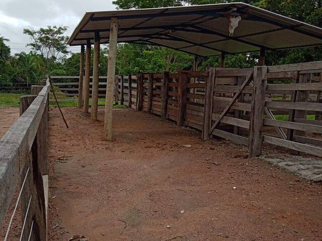 Chácara para Venda em Novo Brasil - 5