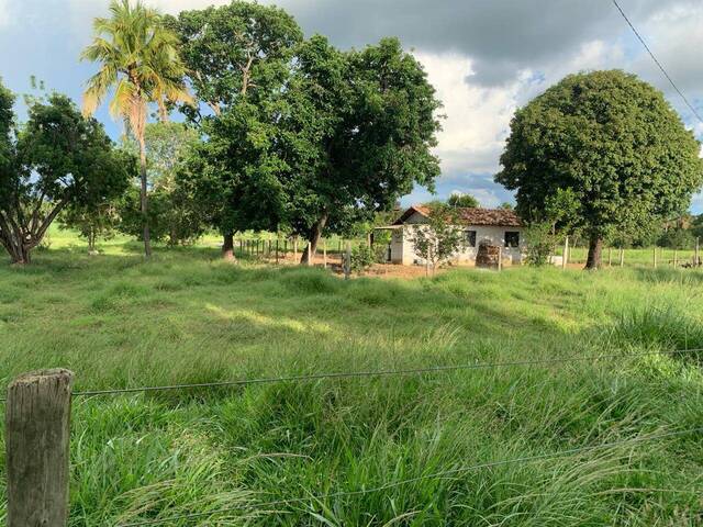 Chácara para Venda em Itapirapuã - 4