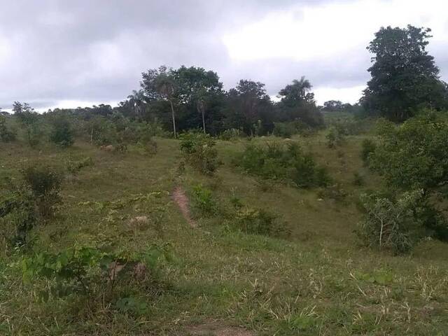 Chácara para Venda em Faina - 4