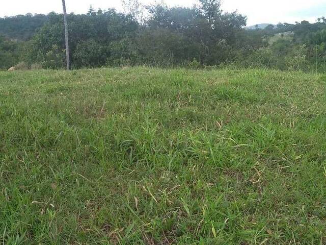 Chácara para Venda em Faina - 5