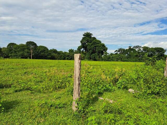 #281 - Fazenda para Venda em Araguaiana - MT - 3