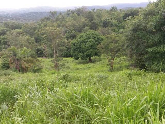 Chácara para Venda em Faina - 4