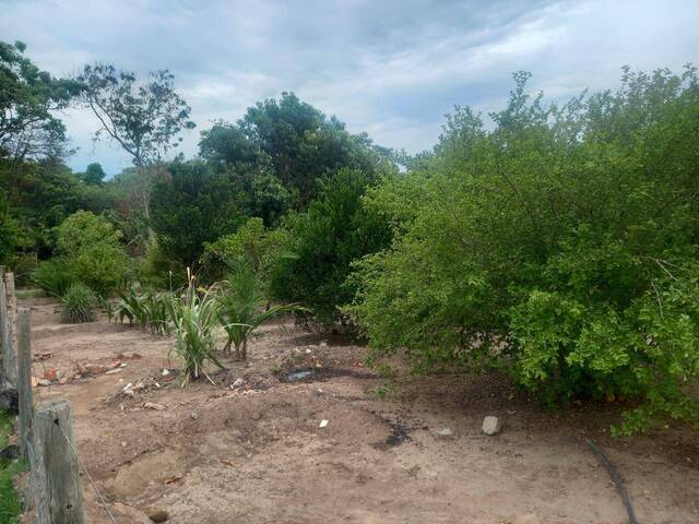 Chácara para Venda em Israelândia - 5