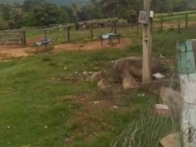 Chácara para Venda em Ivolândia - 4