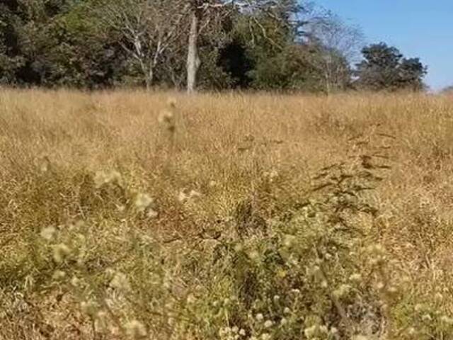 Chácara para Venda em Sanclerlândia - 5