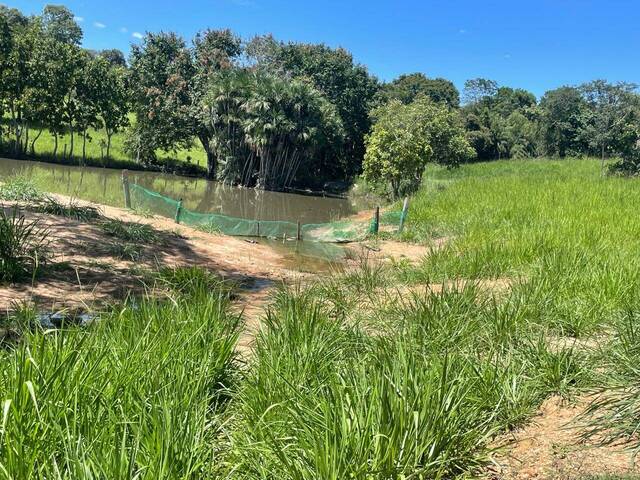 Sítio para Venda em Goiás - 4
