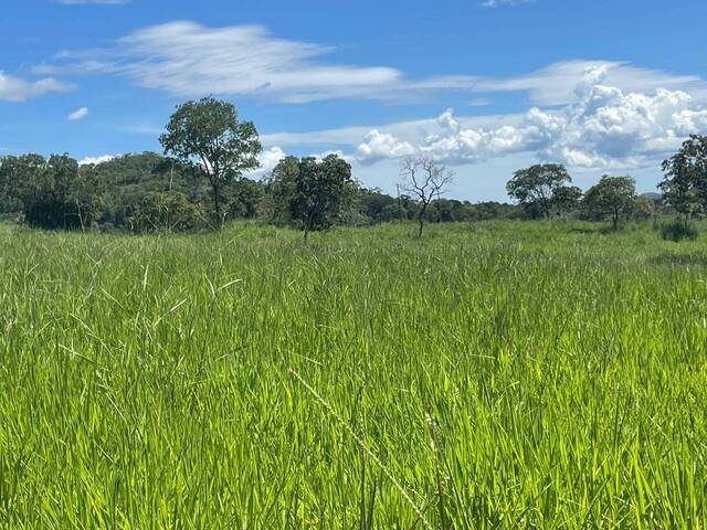 #286 - Sítio para Venda em Goiás - GO - 2