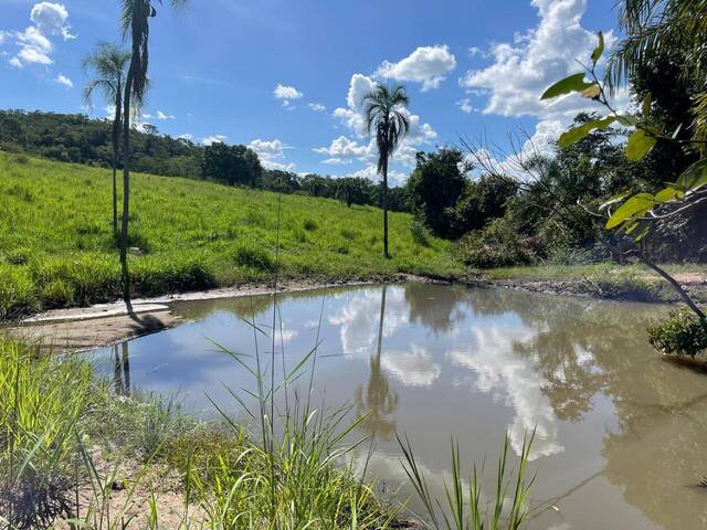 Sítio para Venda em Goiás - 5