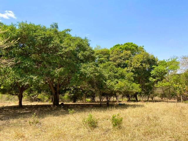 Chácara para Venda em Bela Vista de Goiás - 5